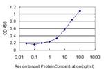 CA12 Antibody in ELISA (ELISA)