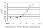 CACNA1S Antibody in ELISA (ELISA)
