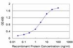 CALML3 Antibody in ELISA (ELISA)
