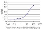SERPINA6 Antibody in ELISA (ELISA)
