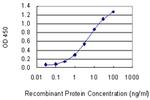 CBL Antibody in ELISA (ELISA)