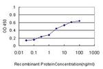 CBS Antibody in ELISA (ELISA)
