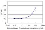 CD1A Antibody in ELISA (ELISA)
