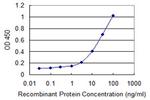 CD1B Monoclonal Antibody (2E4)