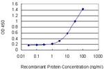 CD1C Antibody in ELISA (ELISA)