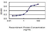 CD3Z Antibody in ELISA (ELISA)