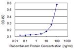 CD44 Monoclonal Antibody (1G4)