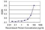 CD44 Monoclonal Antibody (4H2)