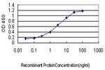 CD48 Monoclonal Antibody (3B8-2C2)