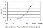 CD97 Antibody in ELISA (ELISA)