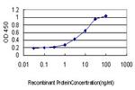 CDH18 Antibody in ELISA (ELISA)