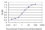 CDK3 Antibody in ELISA (ELISA)