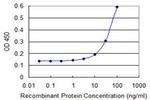 CDK4 Antibody in ELISA (ELISA)