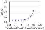 CDO1 Antibody in ELISA (ELISA)