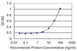 CDX1 Antibody in ELISA (ELISA)