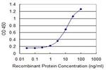 CDX1 Antibody in ELISA (ELISA)