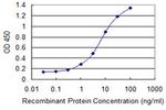 CDX1 Antibody in ELISA (ELISA)
