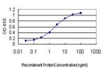 CDX4 Antibody in ELISA (ELISA)
