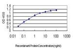 CDX4 Antibody in ELISA (ELISA)