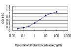 CDX4 Monoclonal Antibody (3H3)