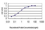 CDX4 Antibody in ELISA (ELISA)