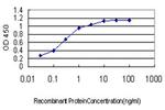 CDX4 Antibody in ELISA (ELISA)