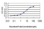 CDX4 Monoclonal Antibody (2F8)