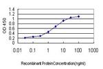 CDX4 Monoclonal Antibody (3H8)