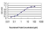 CDX4 Antibody in ELISA (ELISA)