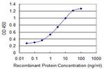 LYST Antibody in ELISA (ELISA)