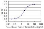 CHRNE Monoclonal Antibody (6A2)