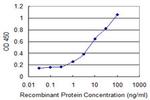 CHRNE Antibody in ELISA (ELISA)