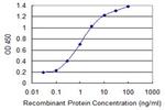 CHUK Antibody in ELISA (ELISA)