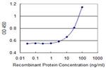 CIDEA Antibody in ELISA (ELISA)