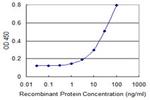 CLCN6 Antibody in ELISA (ELISA)