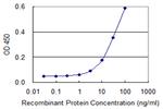 CLIC1 Antibody in ELISA (ELISA)