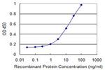 CLN3 Antibody in ELISA (ELISA)