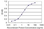 CNN1 Antibody in ELISA (ELISA)