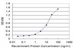 CREBL1 Antibody in ELISA (ELISA)