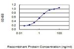 CREM Antibody in ELISA (ELISA)