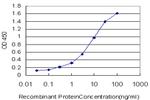 CRX Antibody in ELISA (ELISA)