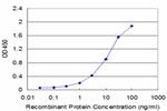 CRYAB Antibody in ELISA (ELISA)