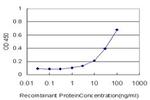 CRYBB1 Antibody in ELISA (ELISA)