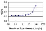 CST2 Monoclonal Antibody (4E10)