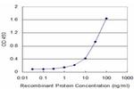 CSTB Antibody in ELISA (ELISA)