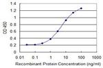 CTNNB1 Antibody in ELISA (ELISA)