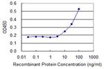 CYB5A Antibody in ELISA (ELISA)