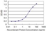CYLD Antibody in ELISA (ELISA)