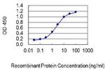 CYP7A1 Monoclonal Antibody (8F1)