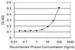 SEPT1 Antibody in ELISA (ELISA)